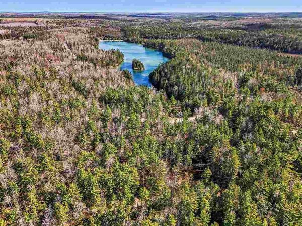 14754 Shore Line Drive, Wolverine, MI 49799