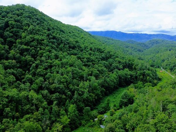 Carrs Creek Rd, Townsend, TN 37882