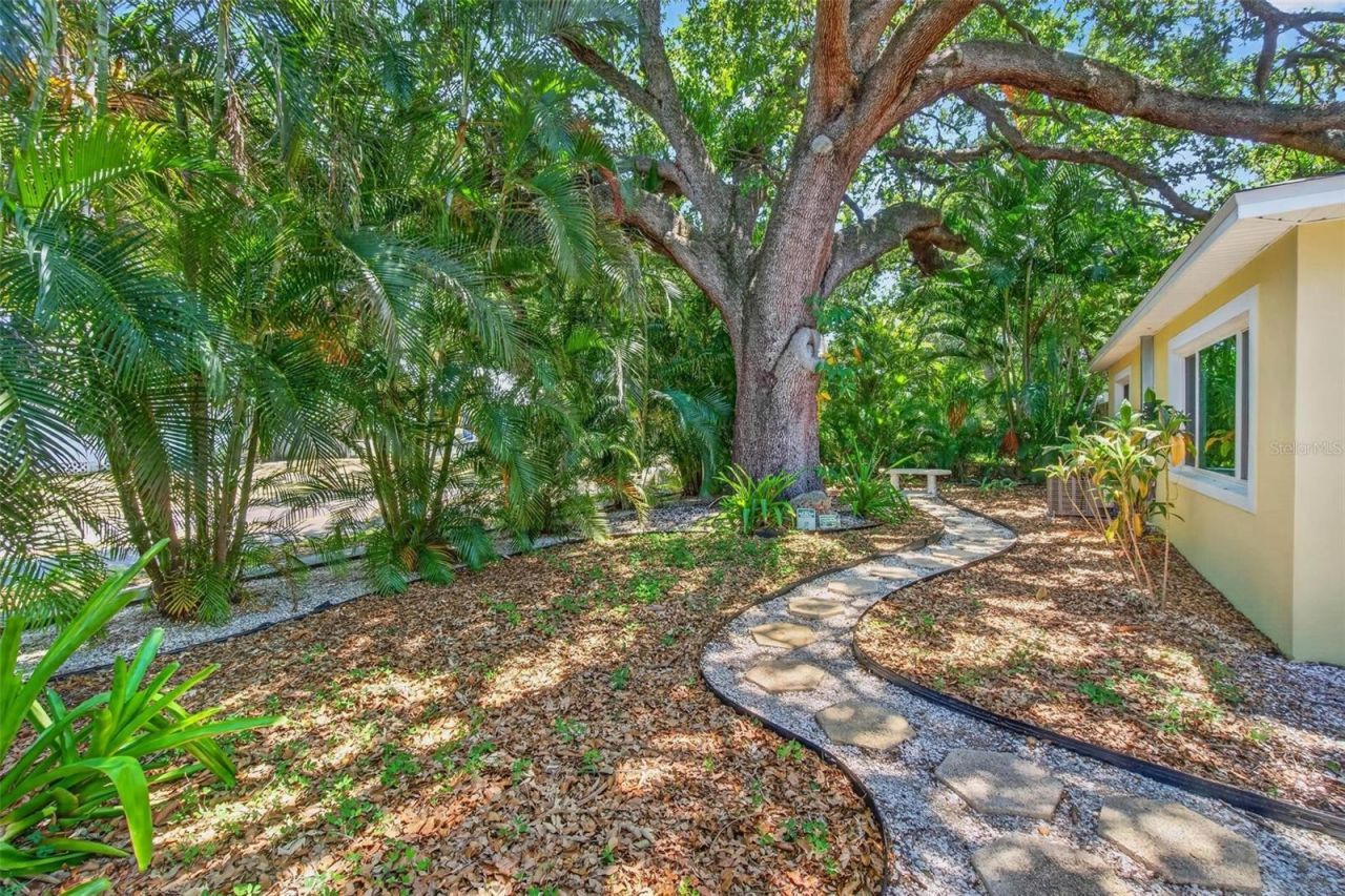 2200 8th Avenue N, Saint Petersburg, FL 33713 Photo