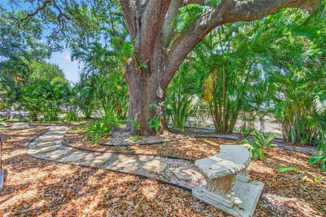 2200 8th Avenue N, Saint Petersburg, FL 33713 Photo