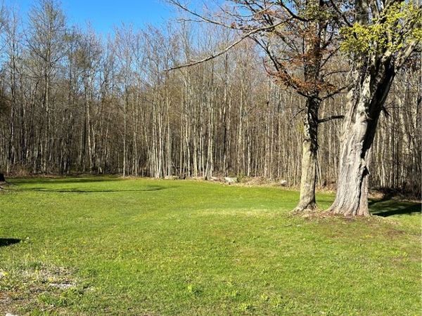 12920 Upton Road, Red Creek, NY 13143