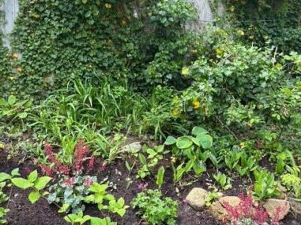 251 Shore Drive , UNIT B2, Mashpee, MA 02649