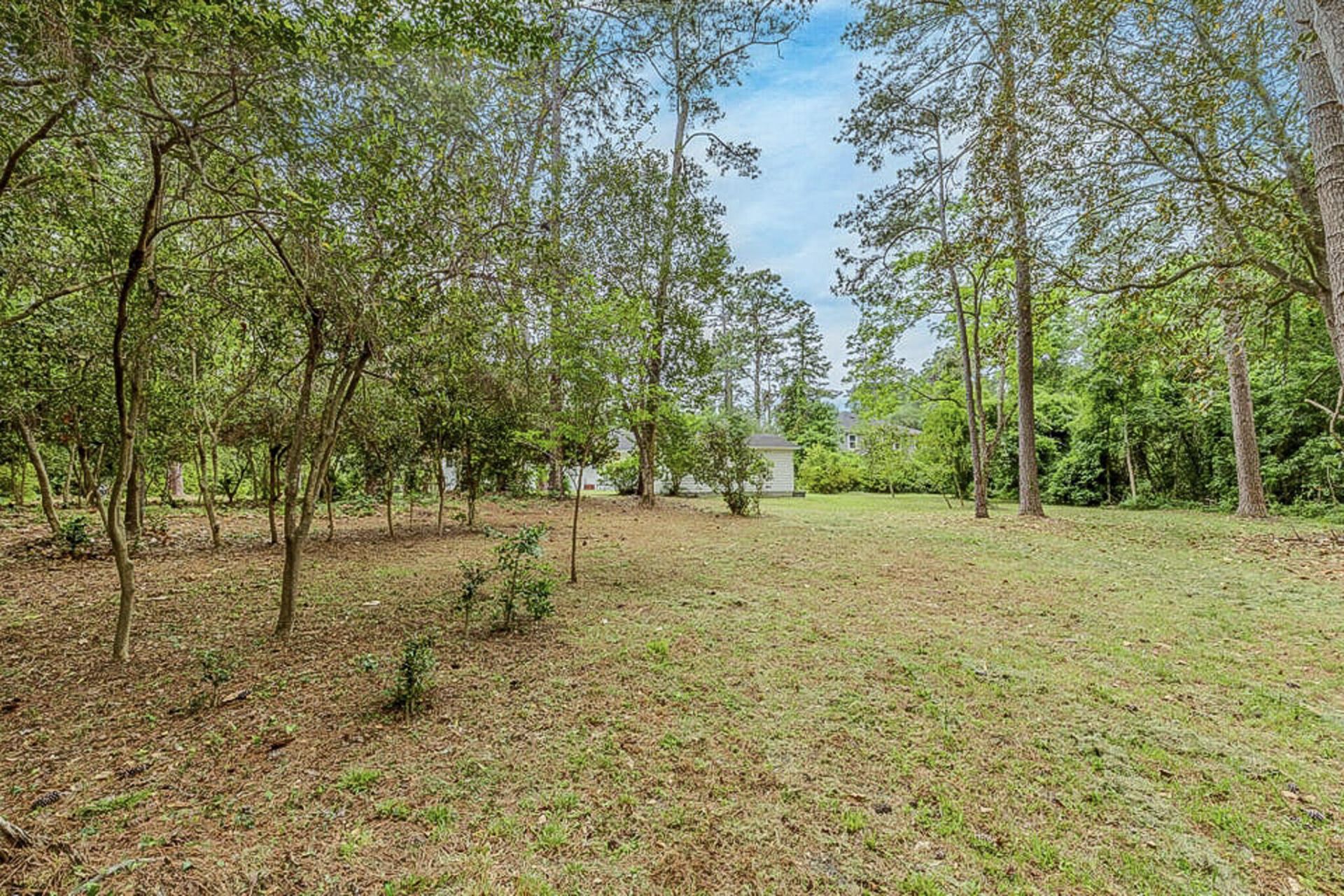 315 Golf Road Photo 49