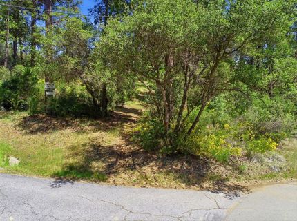 14041 Lois Ln, Nevada City, CA 95959 Photo