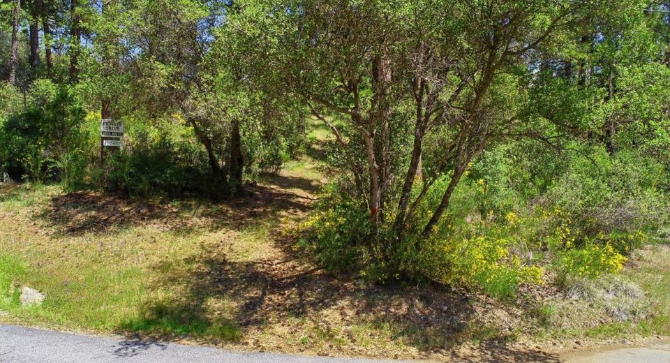 14041 Lois Ln, Nevada City, CA 95959 Photo