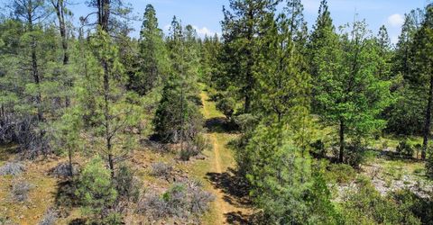 14041 Lois Ln, Nevada City, CA 95959 Photo