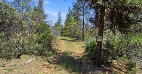 14041 Lois Ln, Nevada City, CA 95959 Photo