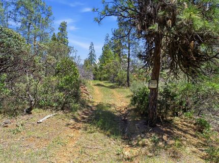 14041 Lois Ln, Nevada City, CA 95959 Photo