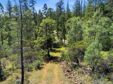 14041 Lois Ln, Nevada City, CA 95959 Photo