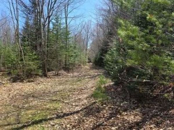 Lot 26-1 Old County Road, West Paris, ME 04289
