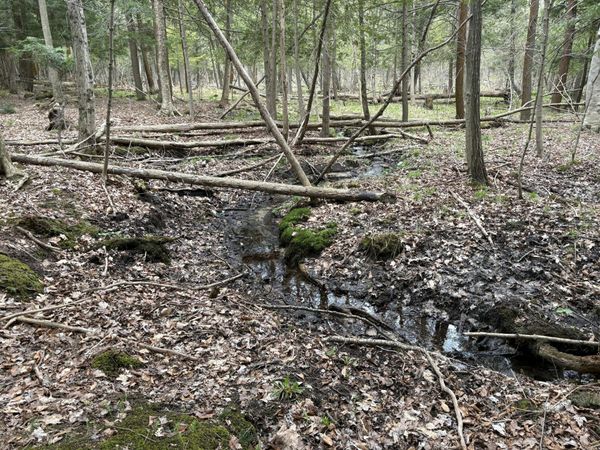 2.27 Acres W Shelby Road, Shelby, MI 49455