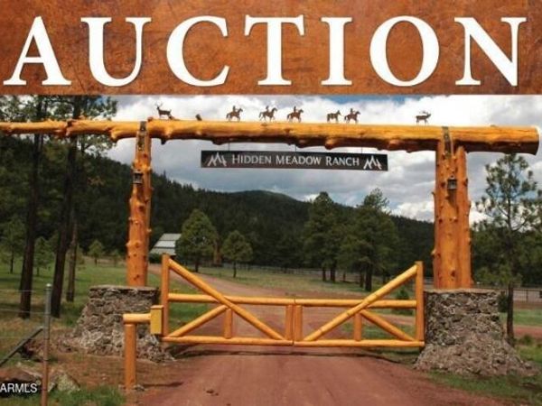 7 N COUNTY ROAD N1332, Unit 46, Greer, AZ 85927