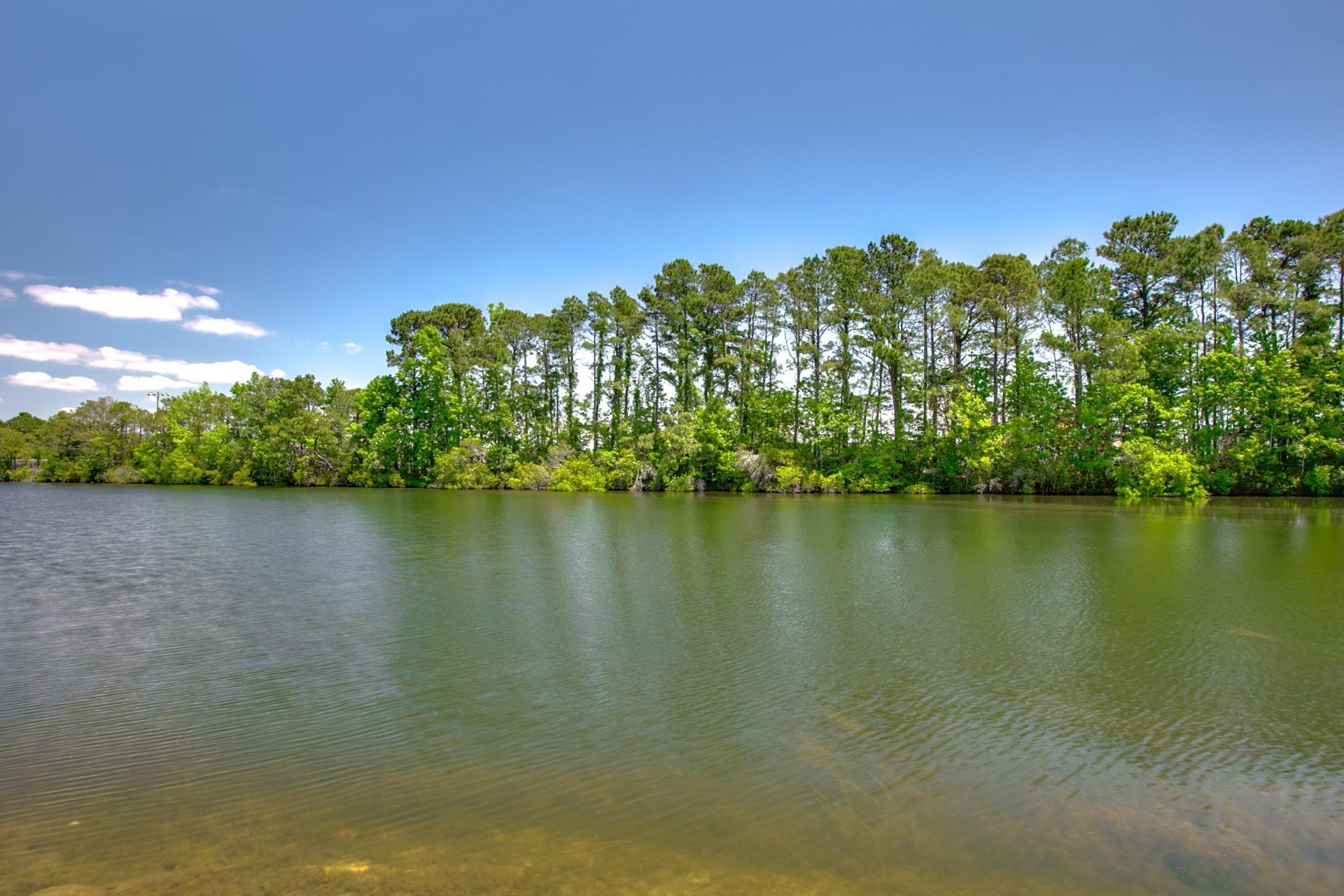 2225 Huntingdon Dr. Photo 34