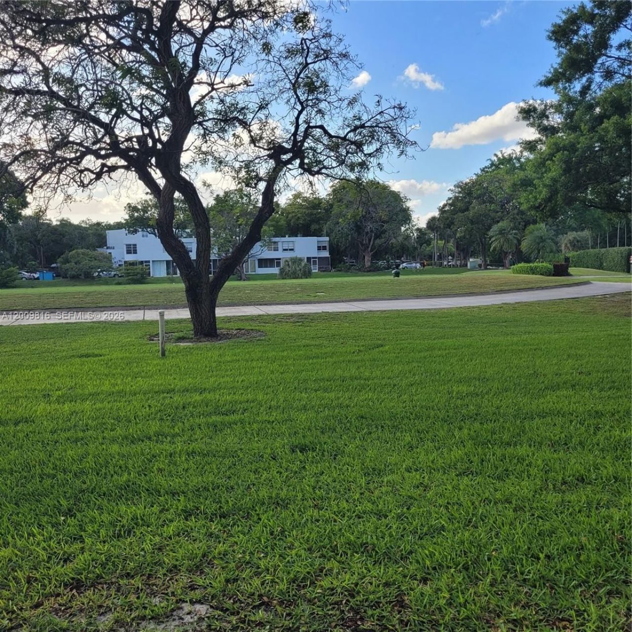 1811 Sabal Palm Dr, Unit 106, Davie, FL 33324 Photo