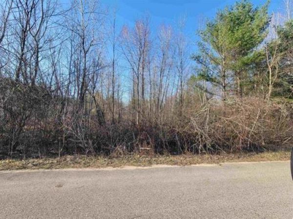 0.50 AC Maple Street, Gladwin, MI 48624