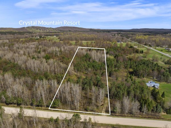 00Z0 Dzuibanek Road, Thompsonville, MI 49683