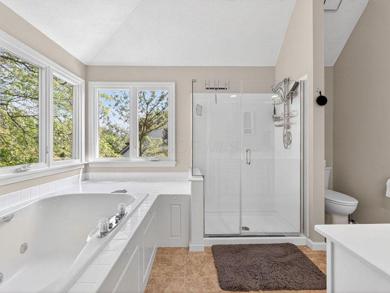 9430 Avemore Court, Dublin, OH 43017 Photo 52