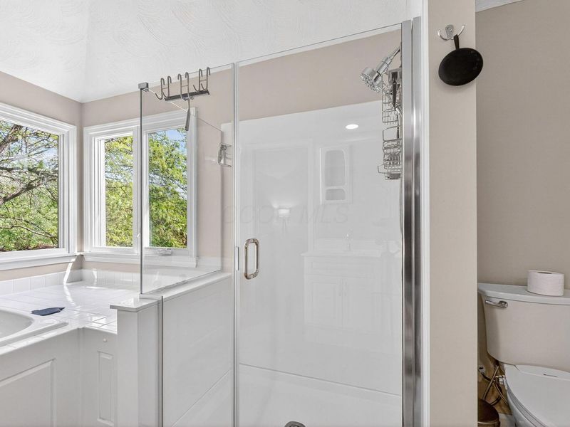 9430 Avemore Court, Dublin, OH 43017 Photo 54