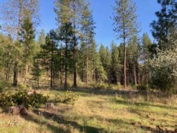 1172 FUMI Cir, Kettle Falls, WA 99141