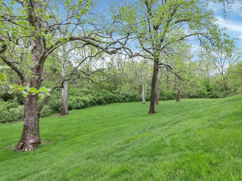 2044 Willowick, Unit # B, Columbus, OH 43229 Photo 37