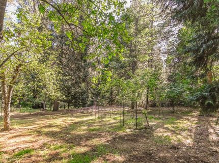 3807 Northwood Dr, Murphys, CA 95247 Photo