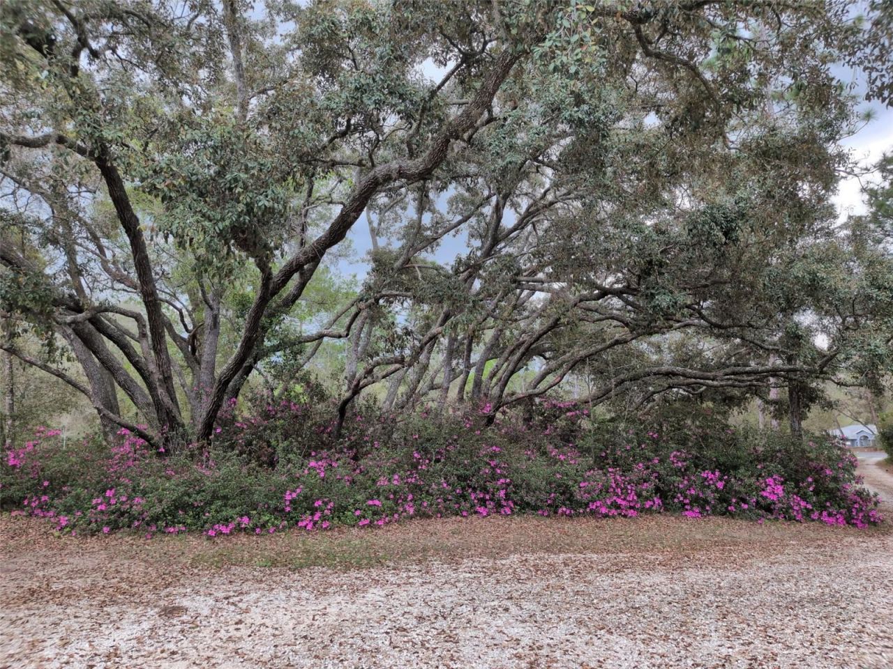 2933 E Quail Court , Inverness, FL 34452 Photo