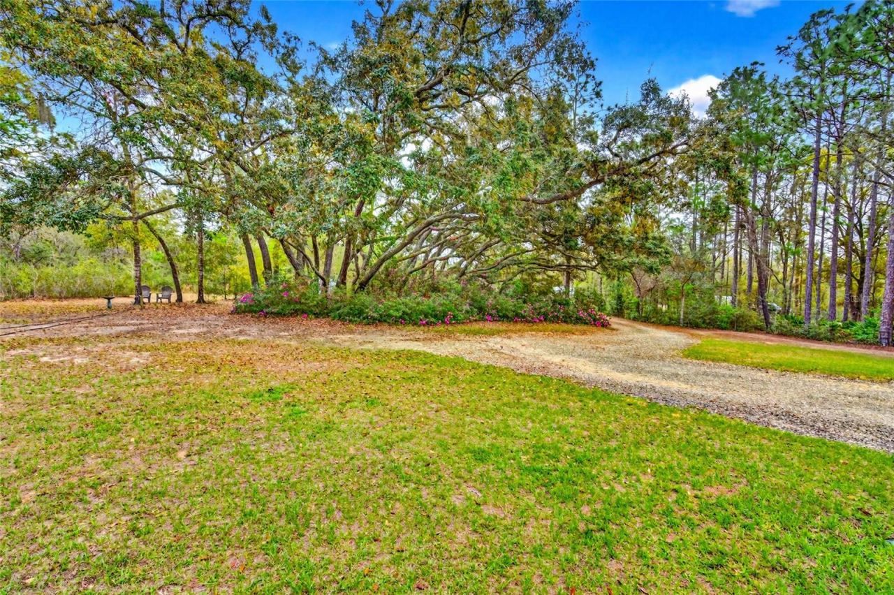 2933 E Quail Court , Inverness, FL 34452 Photo