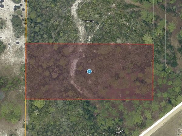 28-17-28-0004-000-03100 BUCK RUN DRIVE , PAISLEY, FL 32767