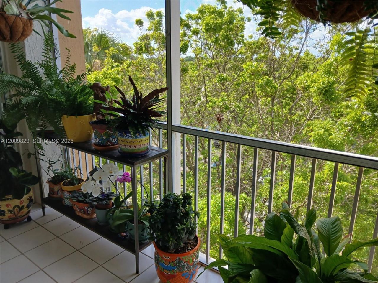 9805 NW 52nd St , Unit 509, Doral, FL 33178 Photo