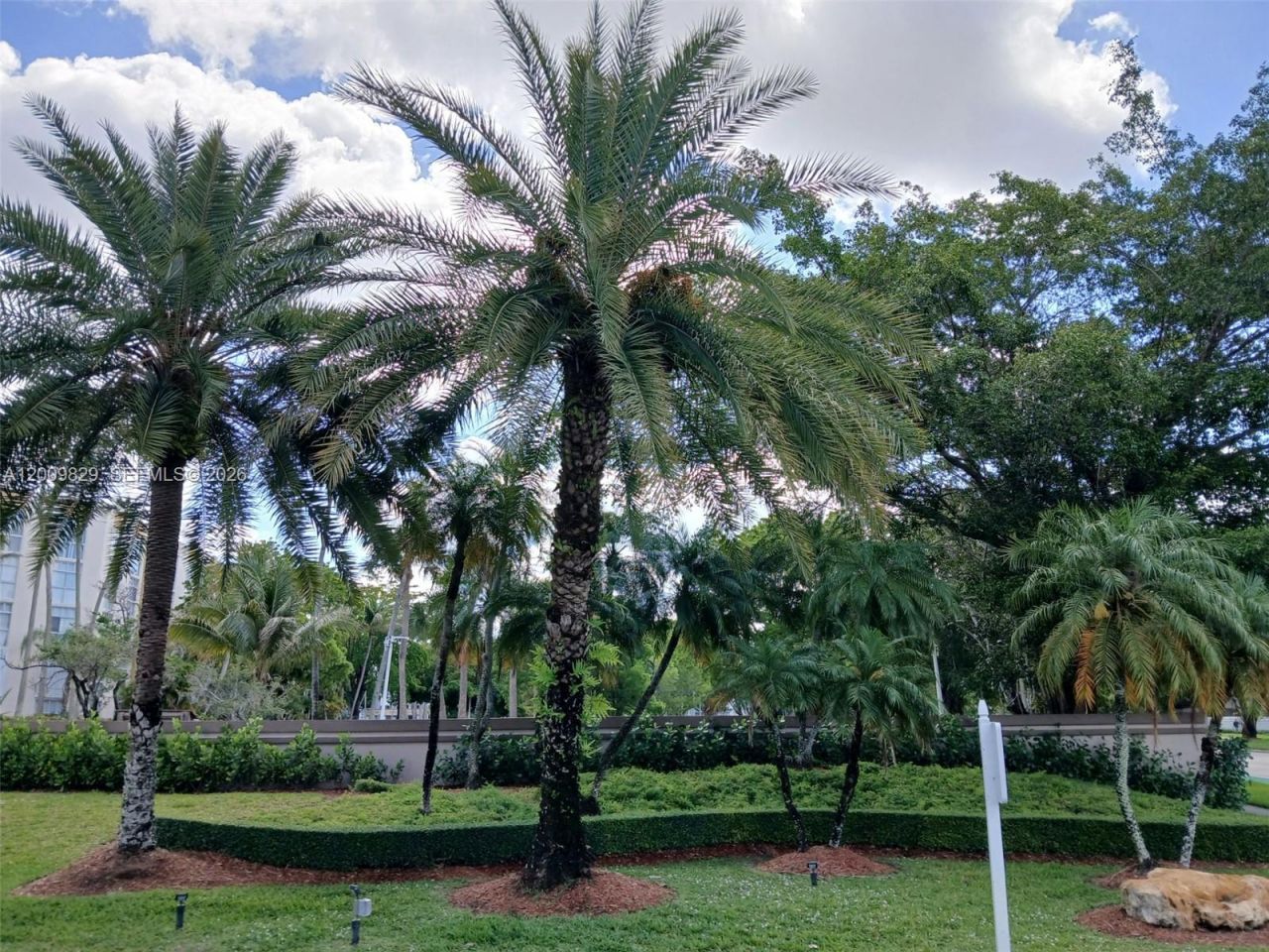 9805 NW 52nd St , Unit 509, Doral, FL 33178 Photo