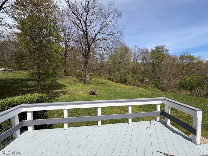 43184 Osbourne Road, Wellsville, OH 43968 Photo 4