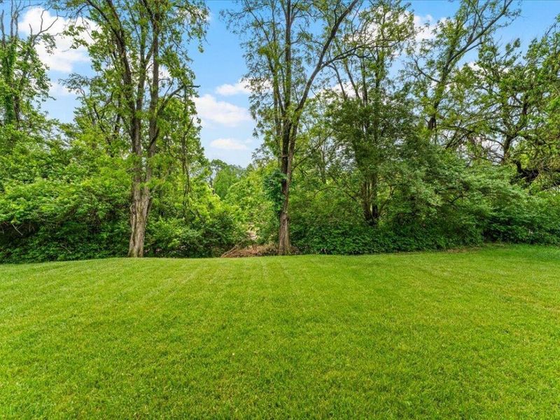 9 Bonnie Lane, Southgate, KY 41071 Photo 45