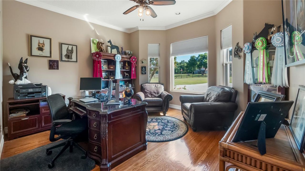 21328 Marsh View Court, Clermont, FL 34715 Photo