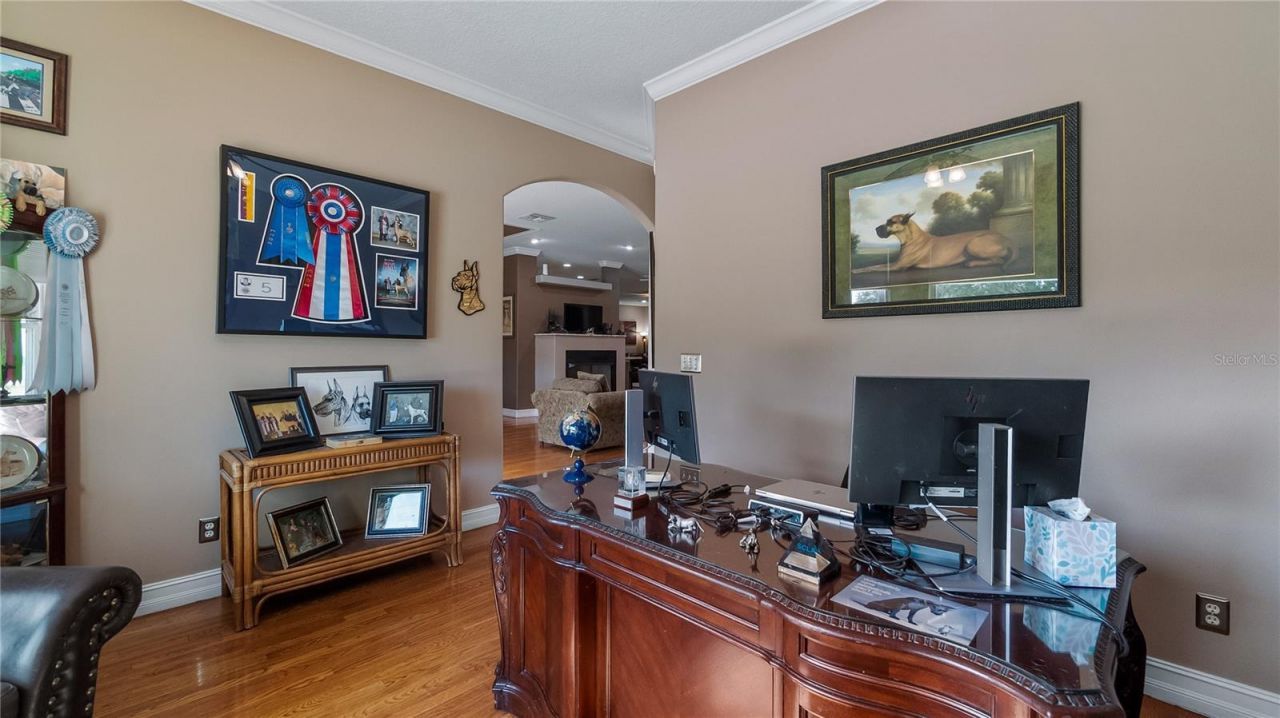 21328 Marsh View Court, Clermont, FL 34715 Photo
