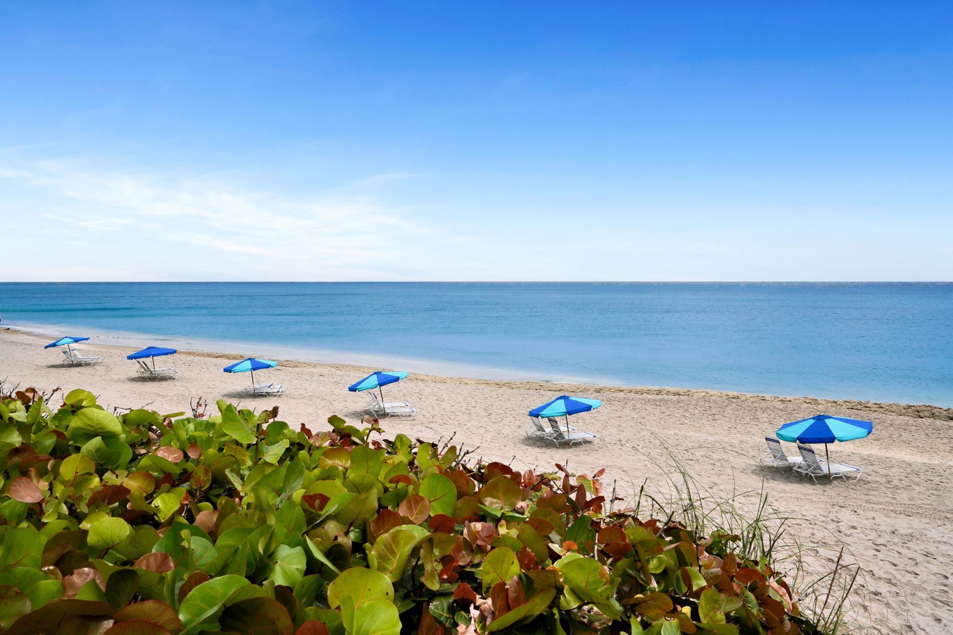4100 N Ocean Drive, Unit 803, Singer Island, FL 33404 Photo