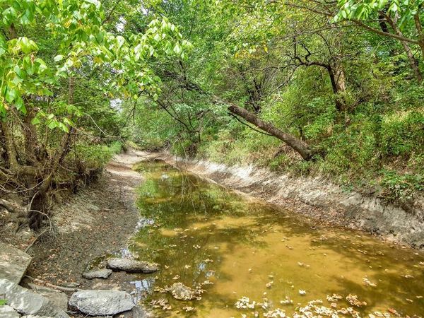 10616 State Highway 78 N, Blue Ridge, TX 75424