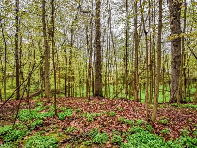 8242 Starburst Road, Mentor, OH 44060 Photo 23