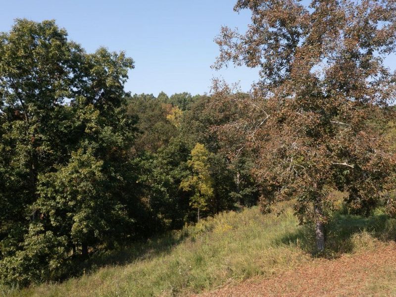 0 Roselawn Drive, Williamstown, KY 41097 Photo 14