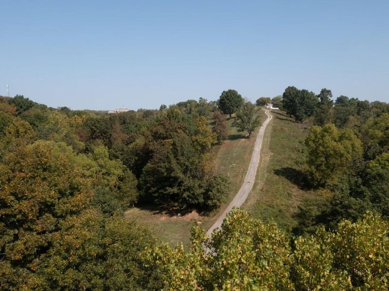 0 Roselawn Drive, Williamstown, KY 41097 Photo 18