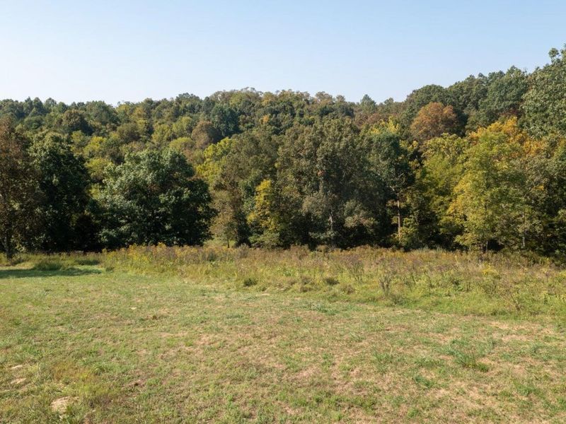 0 Roselawn Drive, Williamstown, KY 41097 Photo 20