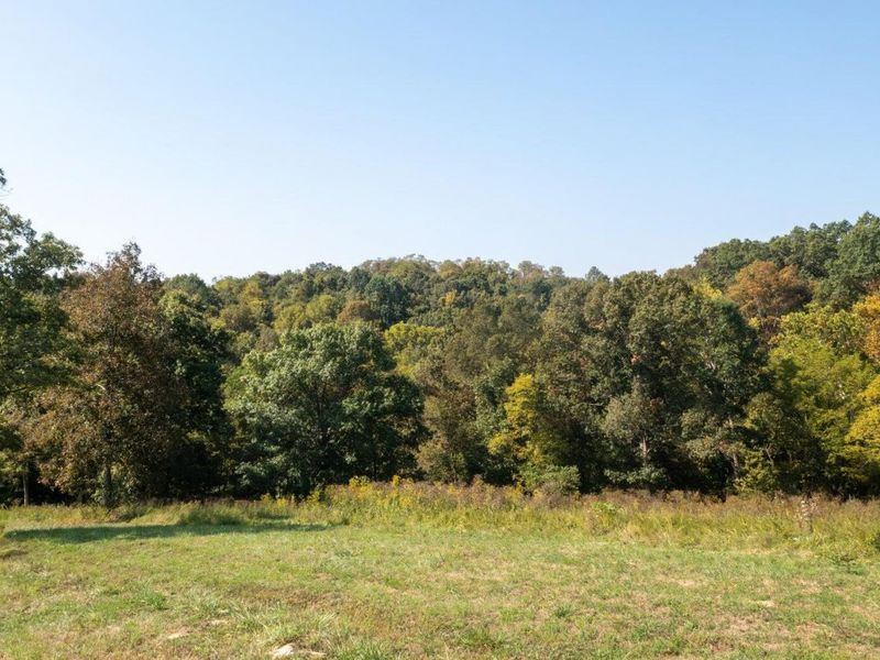 0 Roselawn Drive, Williamstown, KY 41097 Photo 21