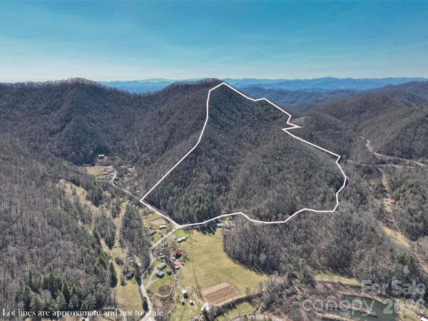 0000 Grapevine Road , Marshall, NC 28753