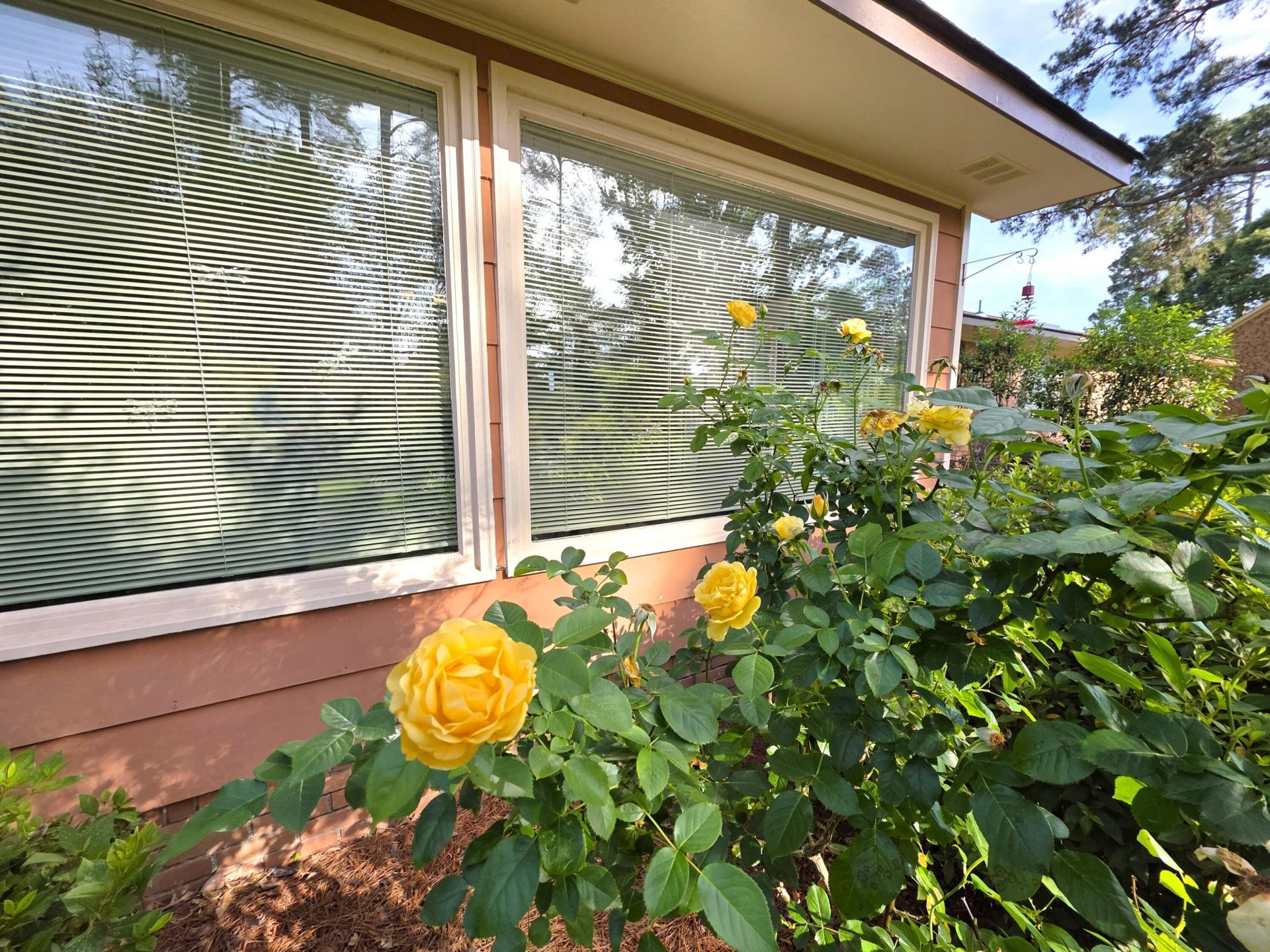 424 Santee Drive Photo 10