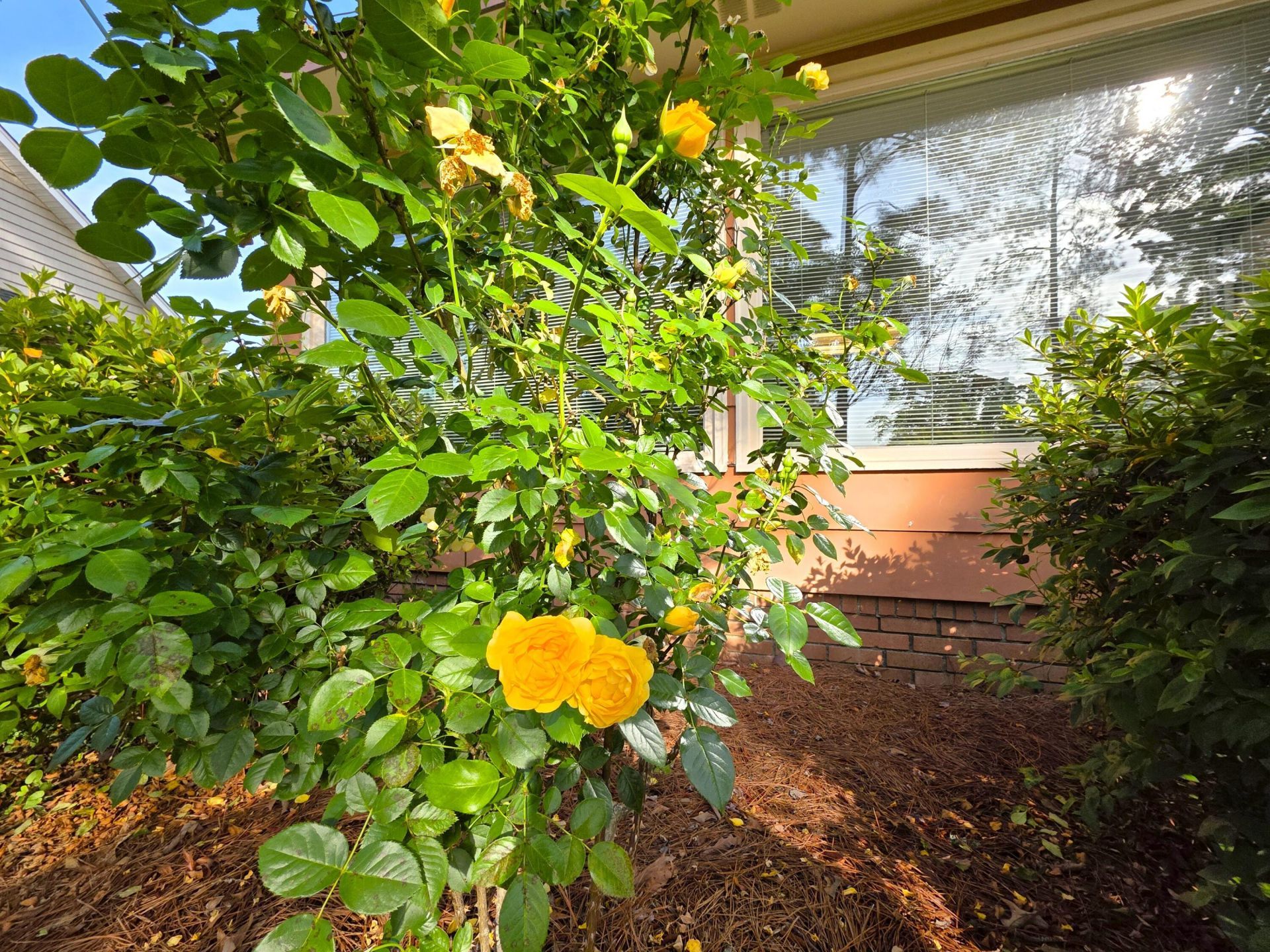 424 Santee Drive Photo 9