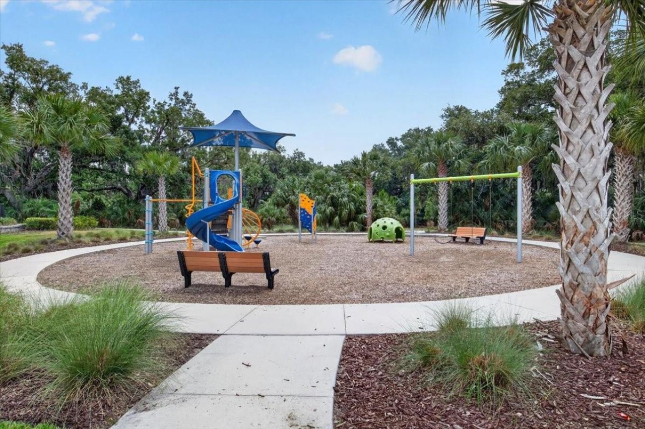 8717 Corkscrew Crossing, Parrish, FL 34219 Photo