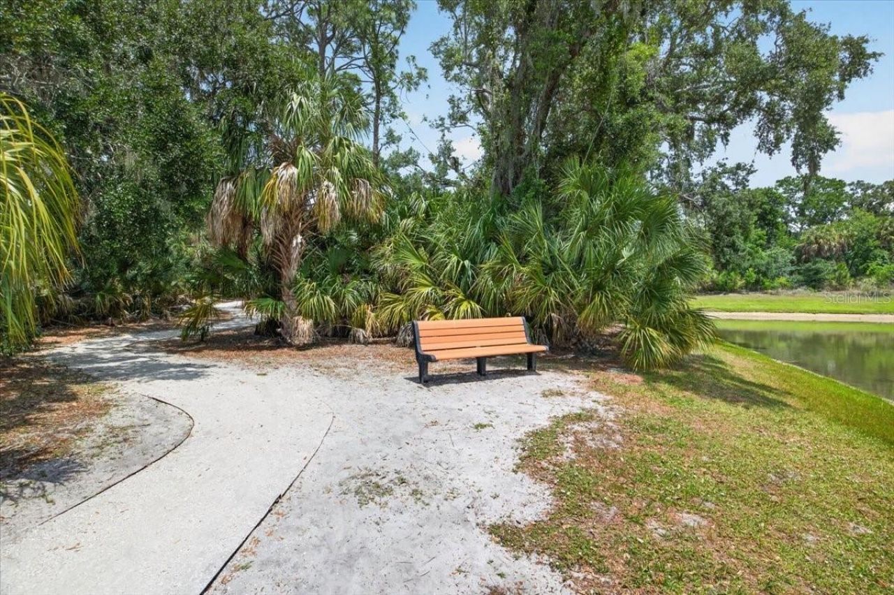 8717 Corkscrew Crossing, Parrish, FL 34219 Photo