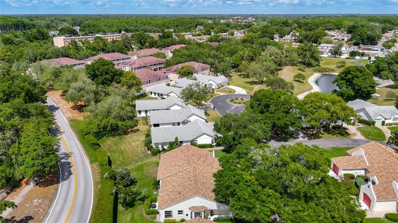 11611 Orleans Lane, Port Richey, FL 34668 Photo