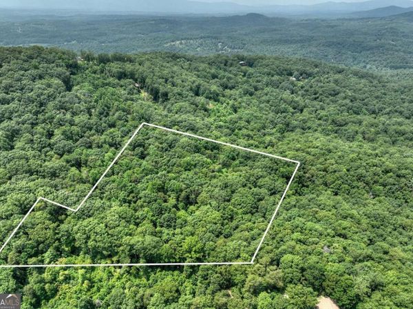7.89 AC Laurel Springs Road, Mineral Bluff, GA 30559