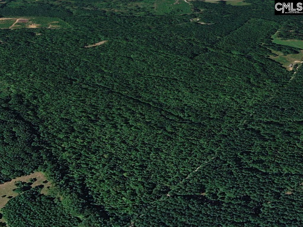Plum Branch Road  Photo 4