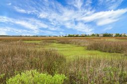 205 River Breeze Drive photo 4